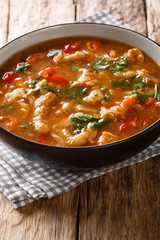 Dietary Polish meal flaczki with vegetables in tomato sauce close-up in a bowl. vertical