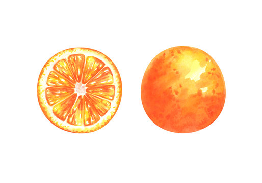 Hand painted watercolor illustration of slice and whole orange isolated on white background