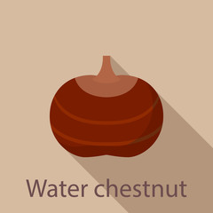 Water chestnut icon. Flat illustration of water chestnut vector icon for web design