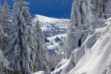 Zasypana Dolina Gąsienicowa w Tatrach zimą