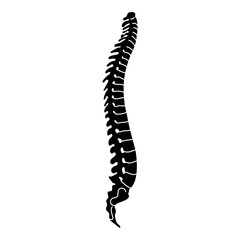 Human spine icon. Simple illustration of human spine vector icon for web design isolated on white background