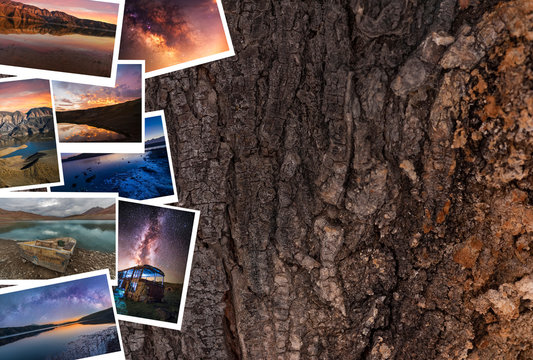 Landscape photo collage on the tree bark background. Armenian landscape.  - Powered by Adobe