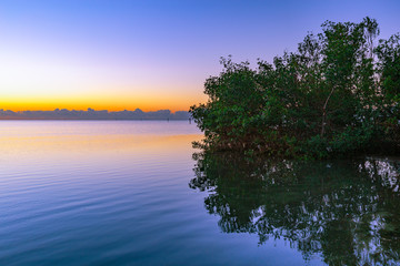 Fototapeta na wymiar Mangrove Sunrise
