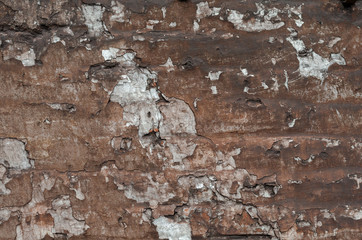 texture of old shabby wall