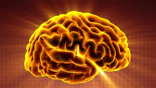 Loop science anatomy scan of human brain glowing with yellow