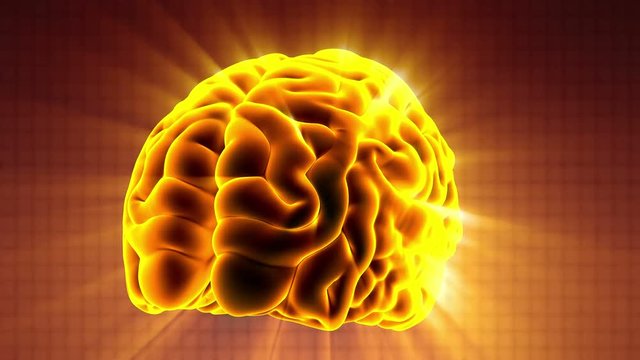 Loop science anatomy scan of human brain glowing with yellow