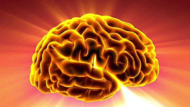 Loop science anatomy scan of human brain glowing with yellow
