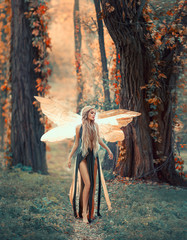 Incredible fairy walks - obrazy, fototapety, plakaty