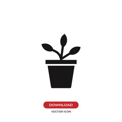 Potted plant icon vector