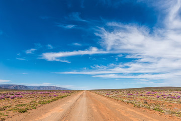 Fototapeta na wymiar Road landscape in the Tankwa Karoo