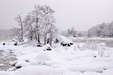 snowy winter landscape