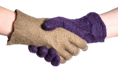 handshake of hands in green and purple gloves