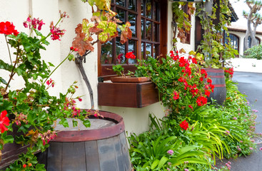 Fototapeta na wymiar wall of the Canarian house with flowers and barrels