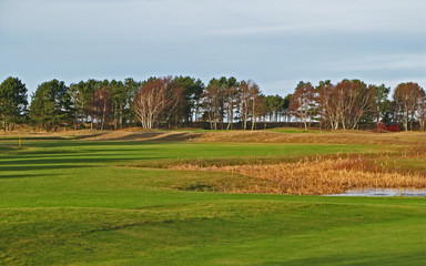 Fototapeta na wymiar Laesoe / Denmark: View over the short cut green of a beautiful golf course in the deep December sun