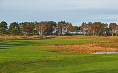 Laesoe / Denmark: View over the short cut green of a beautiful golf course in the deep December sun