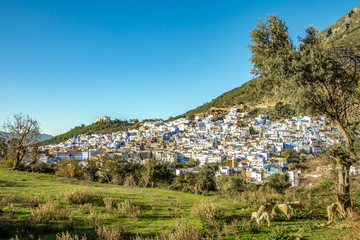 Panoramic view in Chefchaouen, Marocco