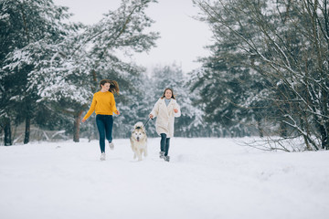 Two girls are running on a snowy forest road with a dog Alaskan Malamute.