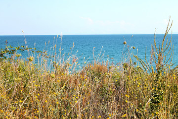 Beautiful sea and meadow landscape background (Bulgaria, Black sea).