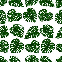 Seamless pattern of exotic, bright green monstera leaves, randomly scattered and isolated on a transparent background. Decorative image with tropical foliage. Vector illustration