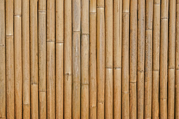 Bamboo fence background,Old texture bamboo