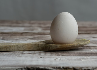 egg
