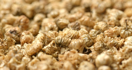 Stack of Dry Chrysanthemum
