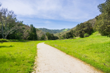 Fototapeta na wymiar Hunting Hollow valley path, Henry W. Coe State Park, California