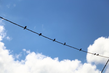 Pause de famille © ERIC RAMIARAMANANA