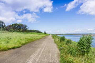 Running trail in Bedwell Bayfront Park on the shoreline of San Francisco bay, Menlo Park, California
