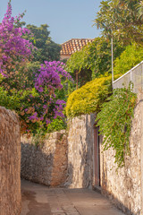 Beautiful Mediterranean alley. Traditional architecture  