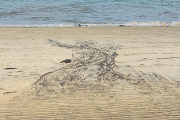 Drawings on sand created by the sea during low tide, resembling picture of a tree