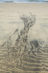 Drawings on sand created by the sea during low tide, resembling picture of a tree