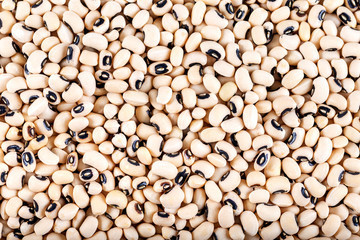 White kidney beans, background