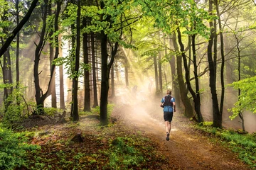 Fotobehang Joggen Man loopt door een bos bij mooi zonnig weer