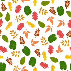 Seamless pattern with autumn leaves
