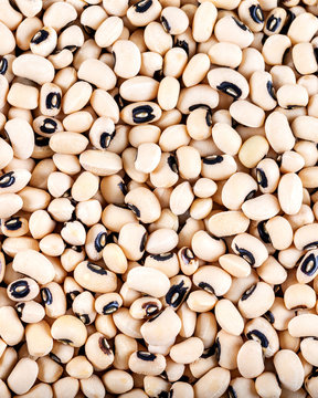 White kidney beans, background