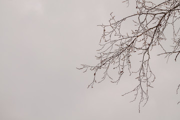 winter photographs from a park walking along the St-Catherine de la Jacques Quartier River in Quebec City