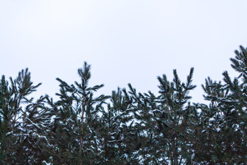 winter photographs from a park walking along the St-Catherine de la Jacques Quartier River in Quebec City