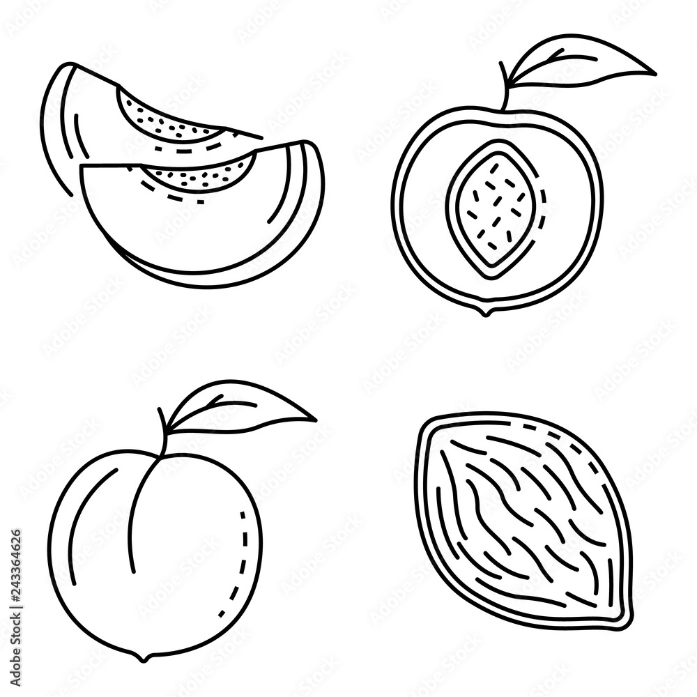 Poster peach icons set. outline set of peach vector icons for web design isolated on white background