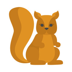 Cute squirrel from the forest. Wild animal