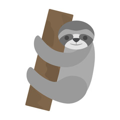 Funny cloth on the tree branch. Wild animal