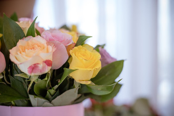 Colorful roses, beautiful flower bouquet.happy mother's day.Mix color roses in the box.pile of pink, yellow, orange, red, and white fresh roses isolated.round bouquet of multicolored roses