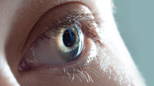 Human eye close-up. Macro photo of blue female eye. 