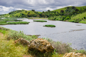 Fototapeta premium Pond in Coyote Hills Regional Park on a cloudy spring day, east San Francisco bay, California