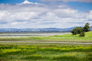 Fototapeta premium Landscape in Coyote Hills Regional Park on a cloudy spring day, east San Francisco bay, California