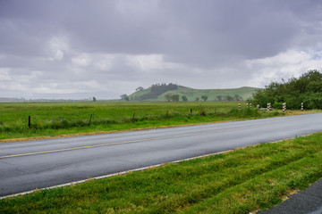 Wet road on a rainy day in Coyote Hills Regional Park, east San Francisco bay, California