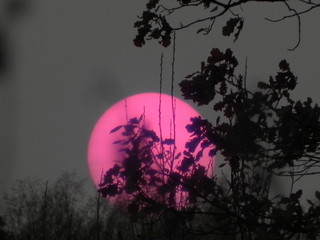 Awesome red-pink sun in the evening sky. The desert sands of Kara Kum eclipsed the sun after a...