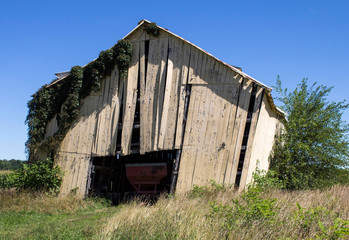 A decaying and leaning barn in a rural area.  © William