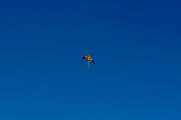 Pipa voando em um céu azul