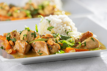 Nahaufnahme von einem Thaicurry mit Reis